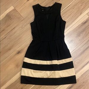 BCX Black and Cream Sheath Mini Dress